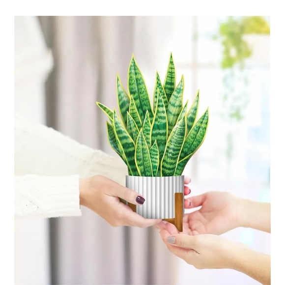 Vibrant Green Snake Plant Pop-Up Card - Picture 6 of 9